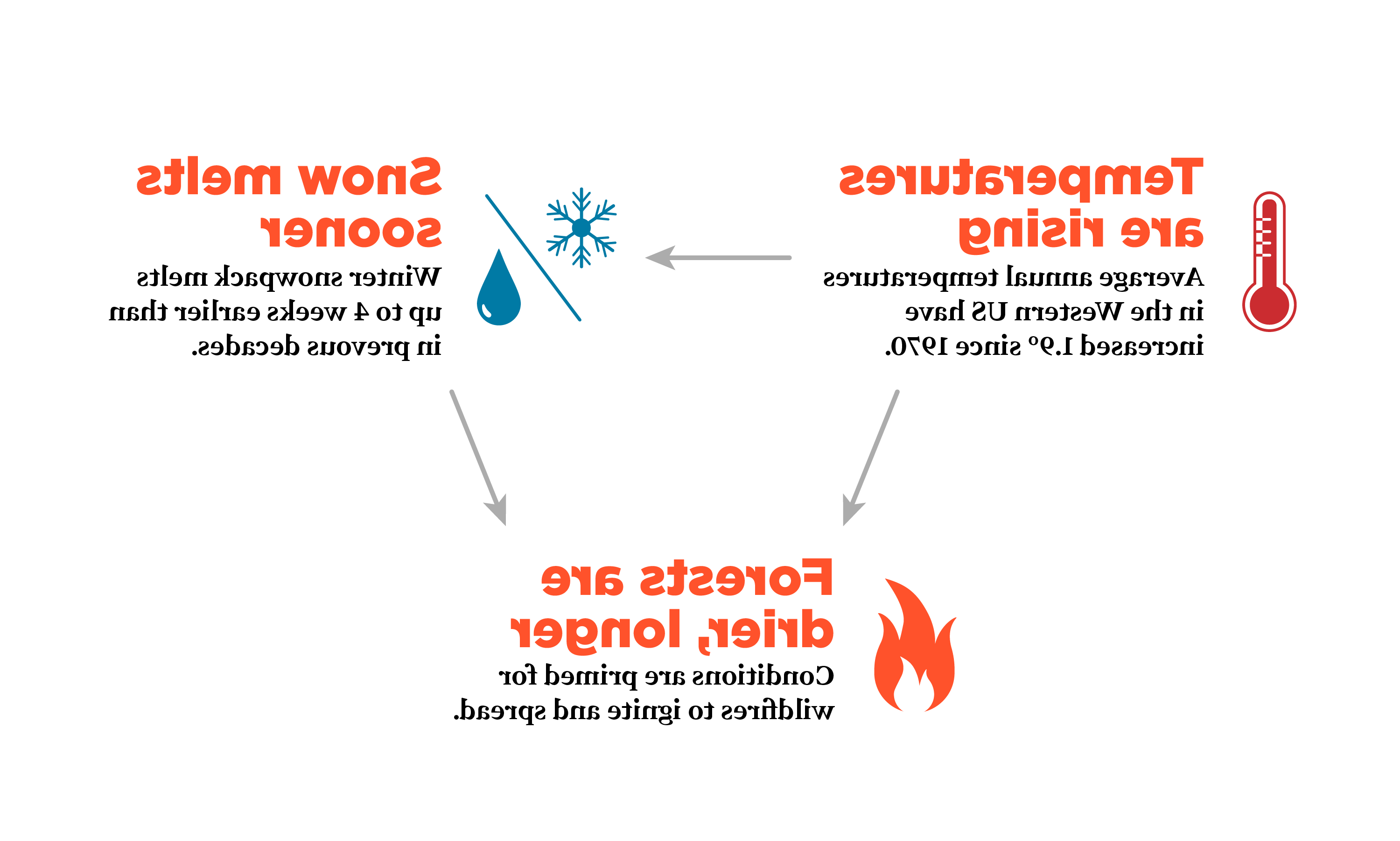 显示全球变暖与森林火灾之间关系的流程图. 随着气温上升，雪融化得更快，森林保持干燥的时间更长.